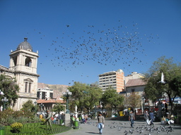 Plaza Murillo