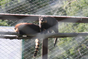 La Paz Zoo